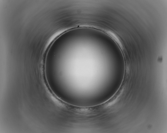 X0000091981149200709201421