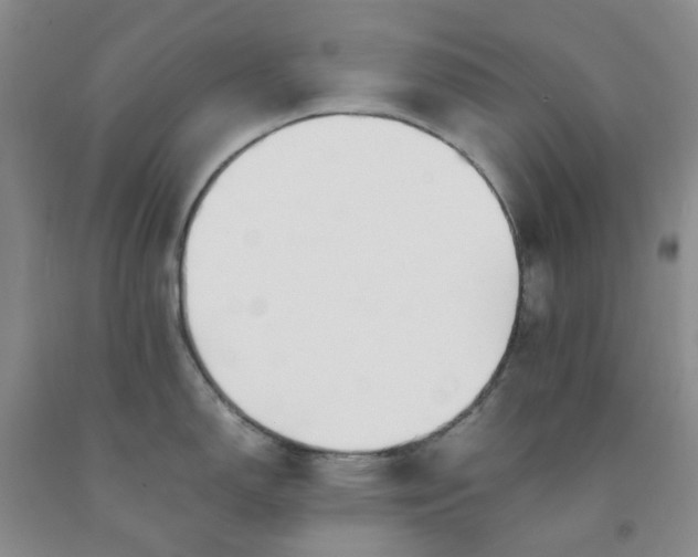 X0000091981150200709201421