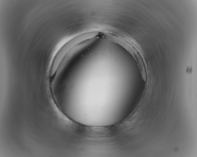 X0000091981152200709201421