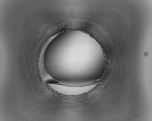 X0000091981153200709201421