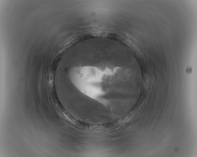 X0000091981154200709201421