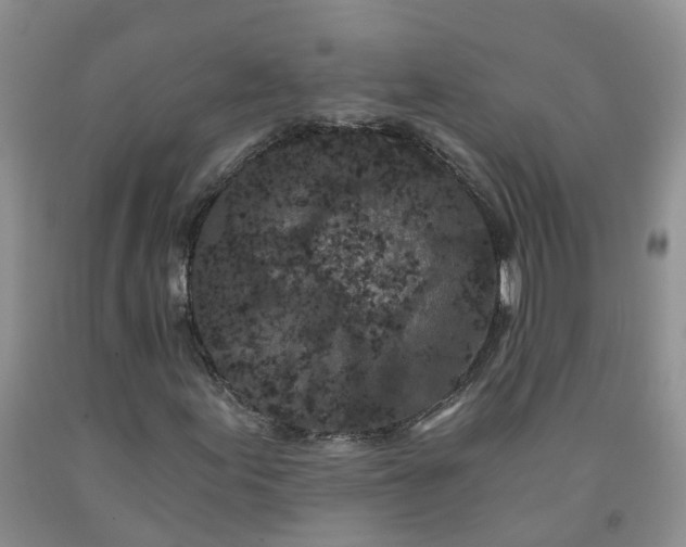 X0000091981155200709201421