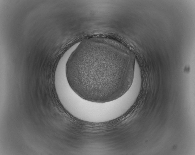 X0000091981156200709201421