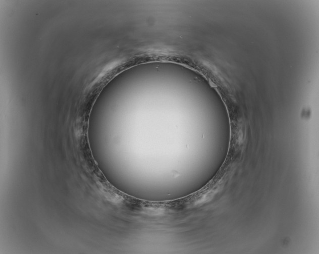 X0000091981157200709201421