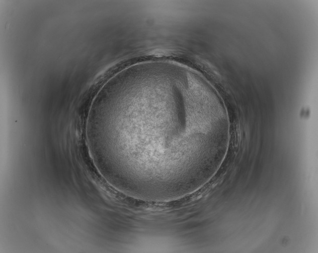 X0000091981158200709201421