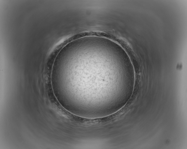 X0000091981159200709201421