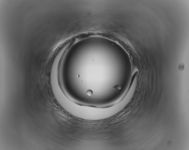 X0000091981160200709201421