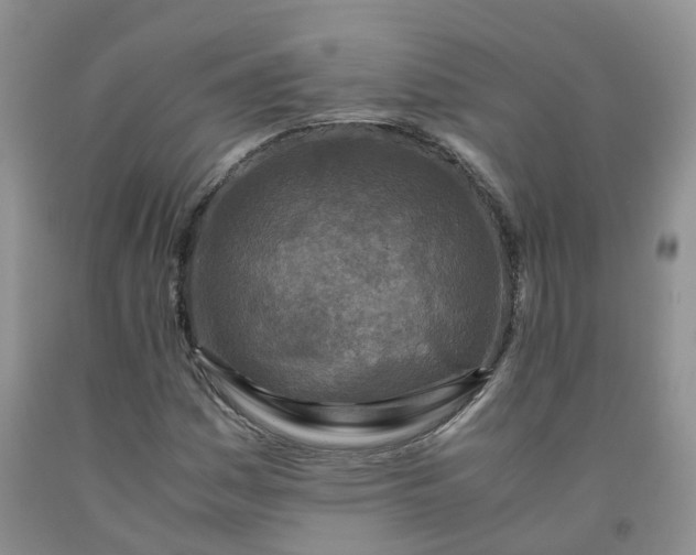 X0000091981161200709201421