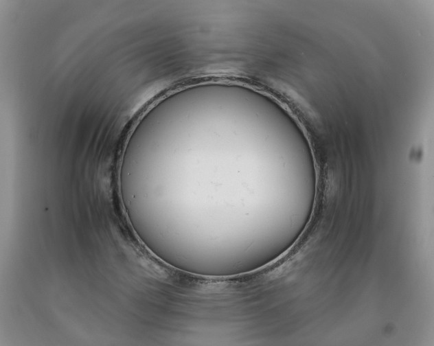 X0000091981162200709201421