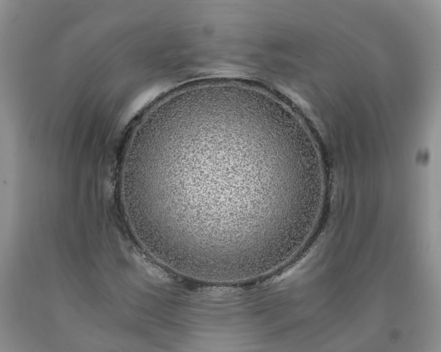 X0000091981163200709201421