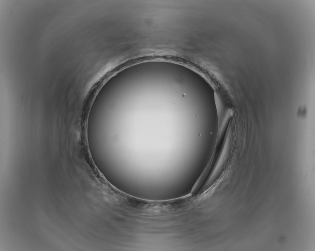 X0000091981165200709201421