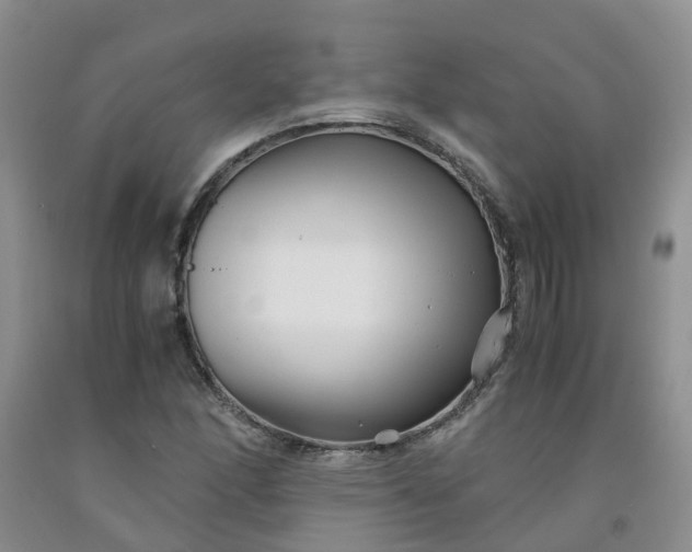 X0000091981166200709201421