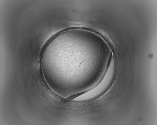 X0000091981167200709201421