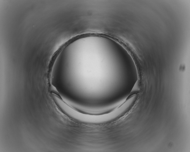 X0000091981168200709201420