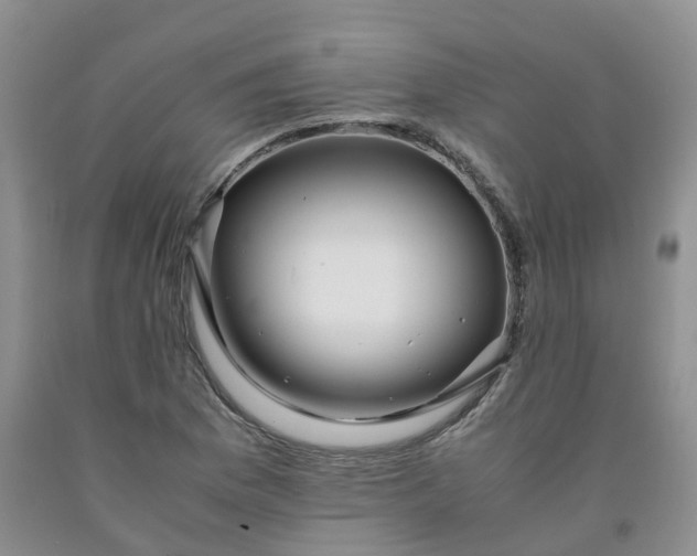 X0000091981169200709201420