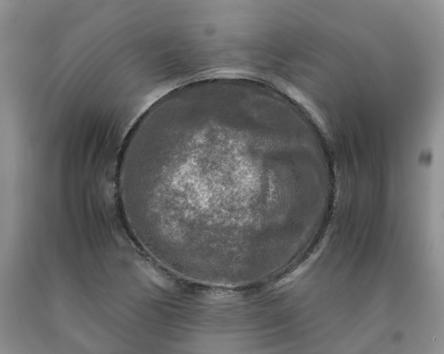 X0000091981170200709201420