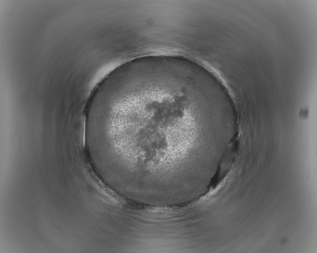 X0000091981171200709201420