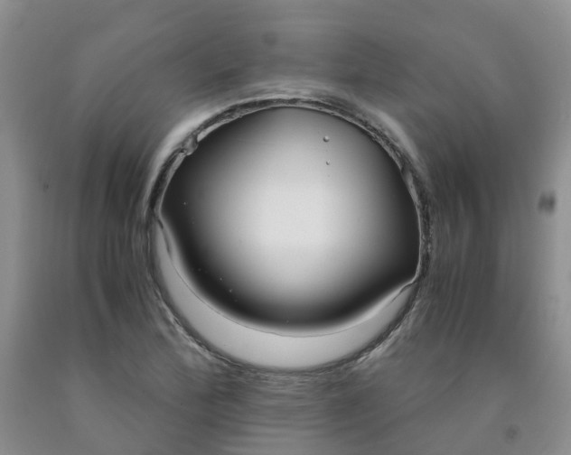 X0000091981172200709201420