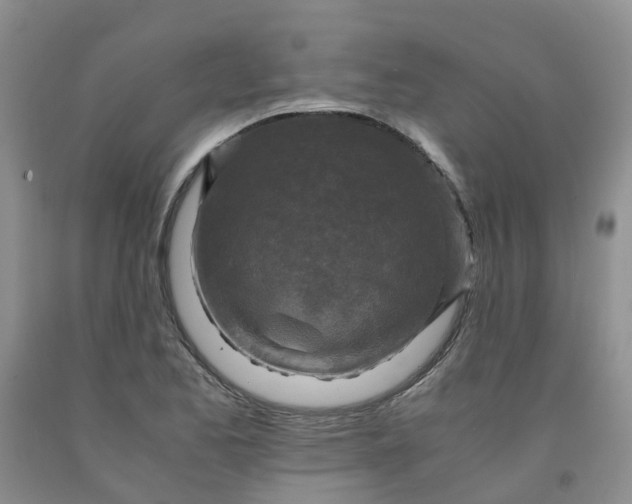 X0000091981173200709201420