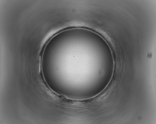 X0000091981175200709201420