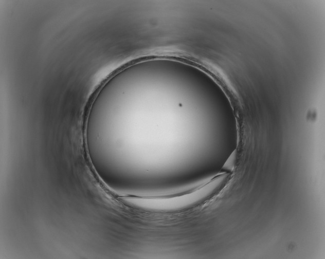 X0000091981176200709201420