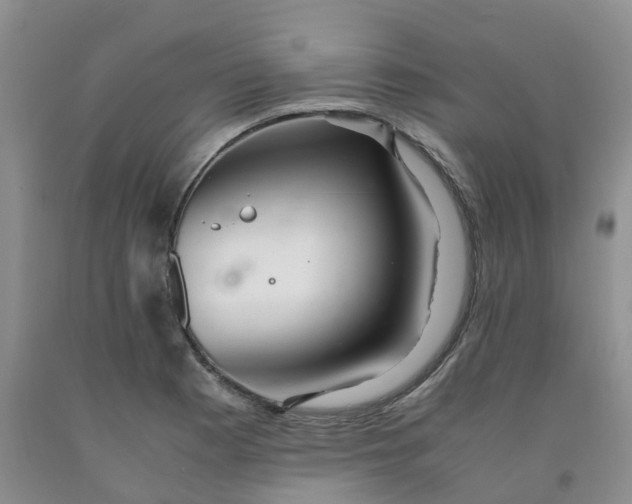 X0000091981177200709201420