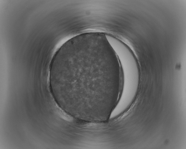 X0000091981179200709201420