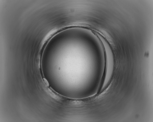 X0000091981180200709201420