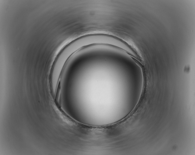 X0000091981181200709201420