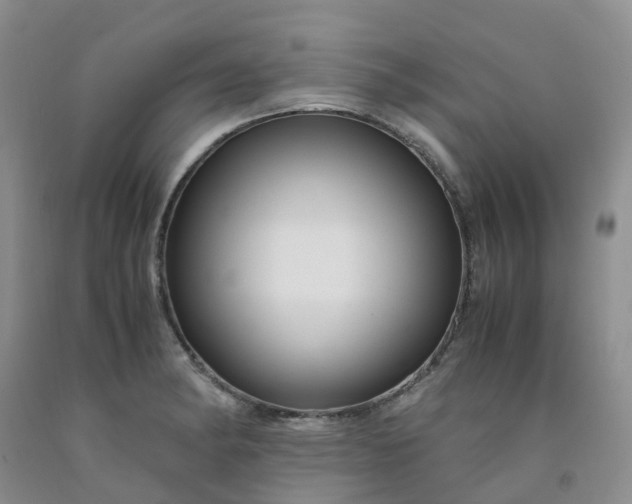 X0000091981182200709201420