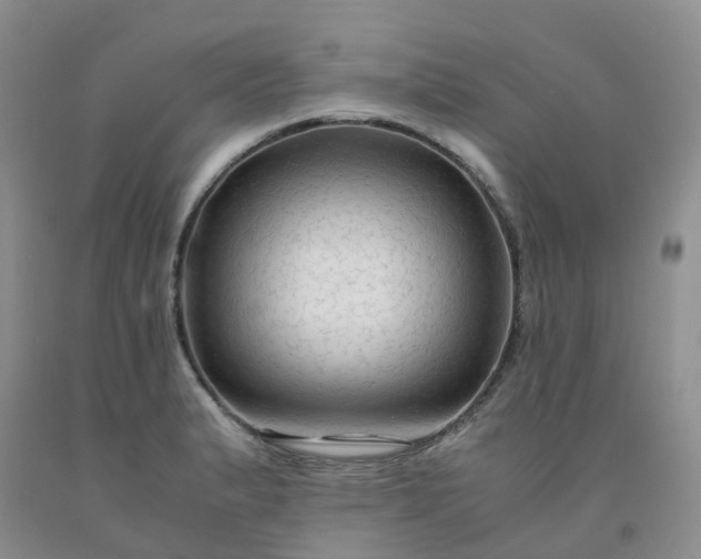 X0000091981183200709201420