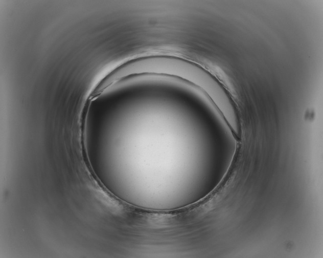 X0000091981184200709201420