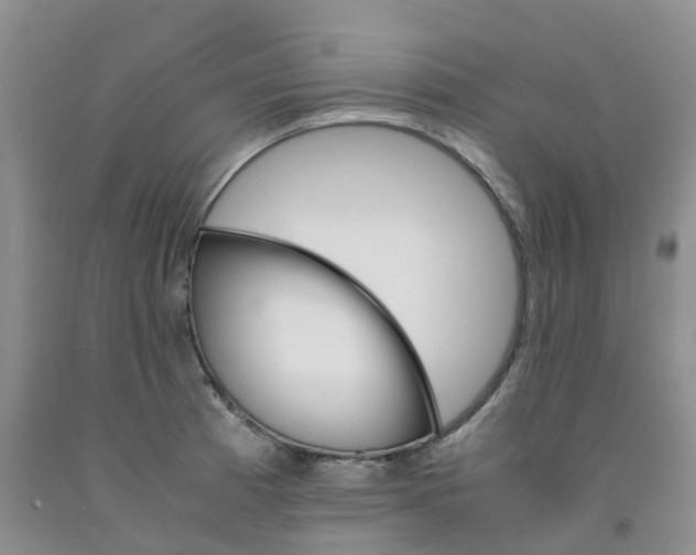 X0000091981185200709201420