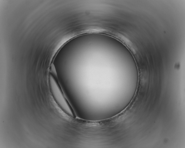 X0000091981186200709201420