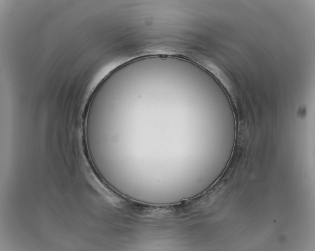 X0000091981187200709201420