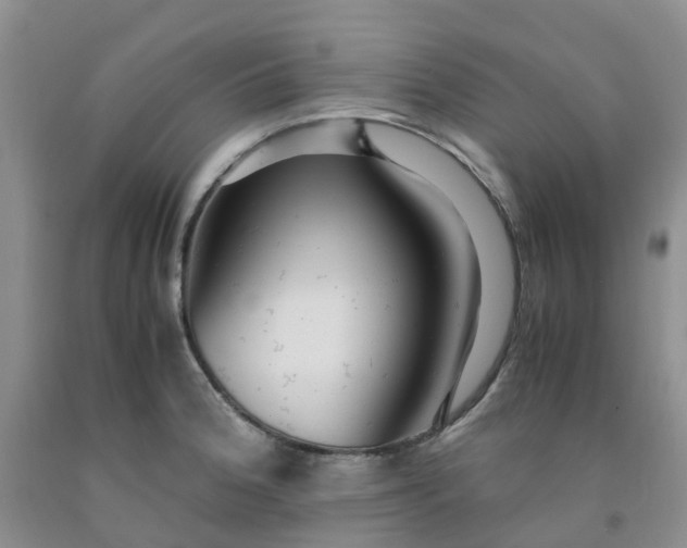 X0000091981188200709201420