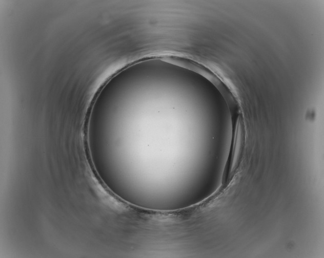 X0000091981189200709201420