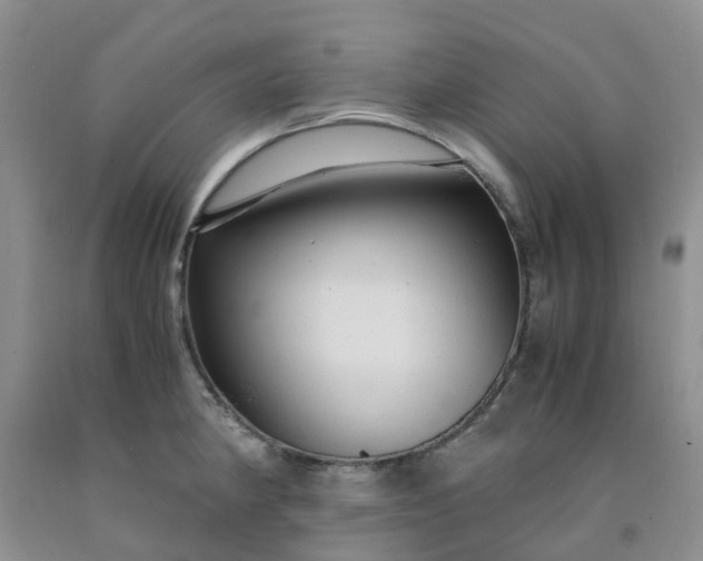 X0000091981190200709201420