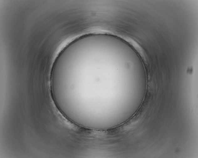 X0000091981191200709201420