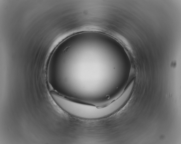 X0000091981192200709201420