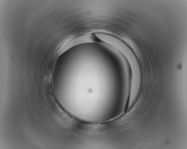 X0000091981193200709201420