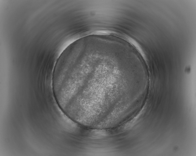 X0000091981194200709201420