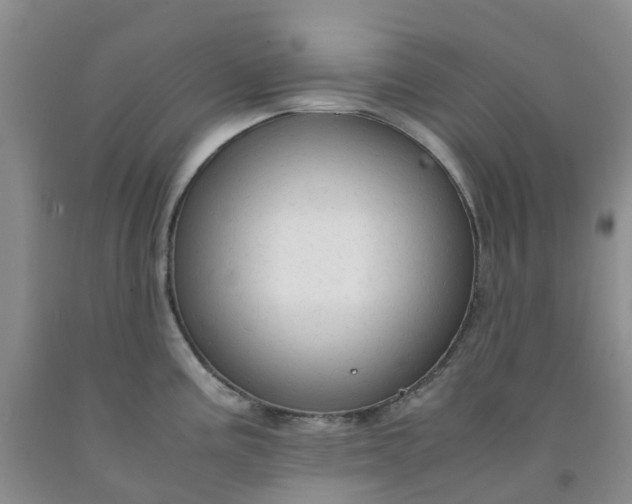 X0000091981195200709201420