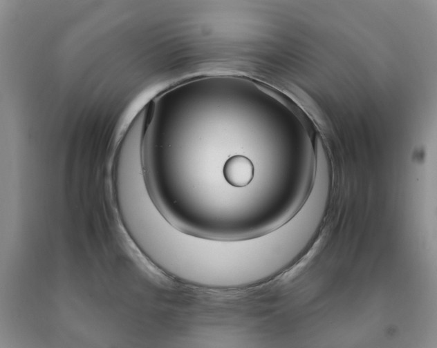 X0000091981196200709201420