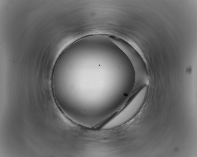 X0000091981197200709201420