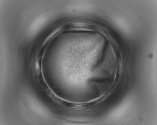 X0000091981198200709201420