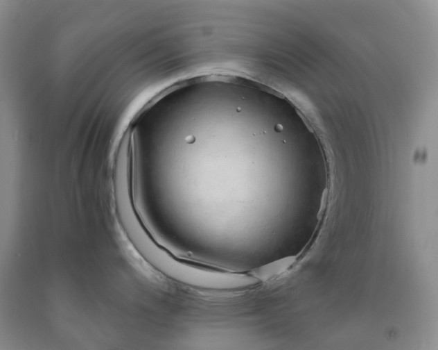 X0000091981200200709201420