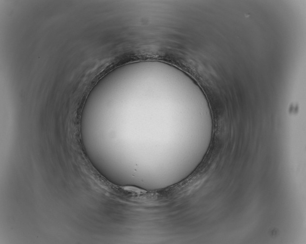 X0000091981201200709201419