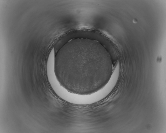 X0000091981202200709201419