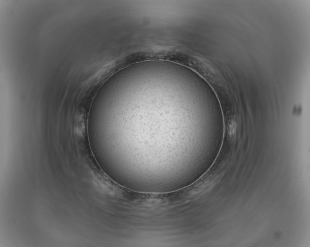 X0000091981204200709201419